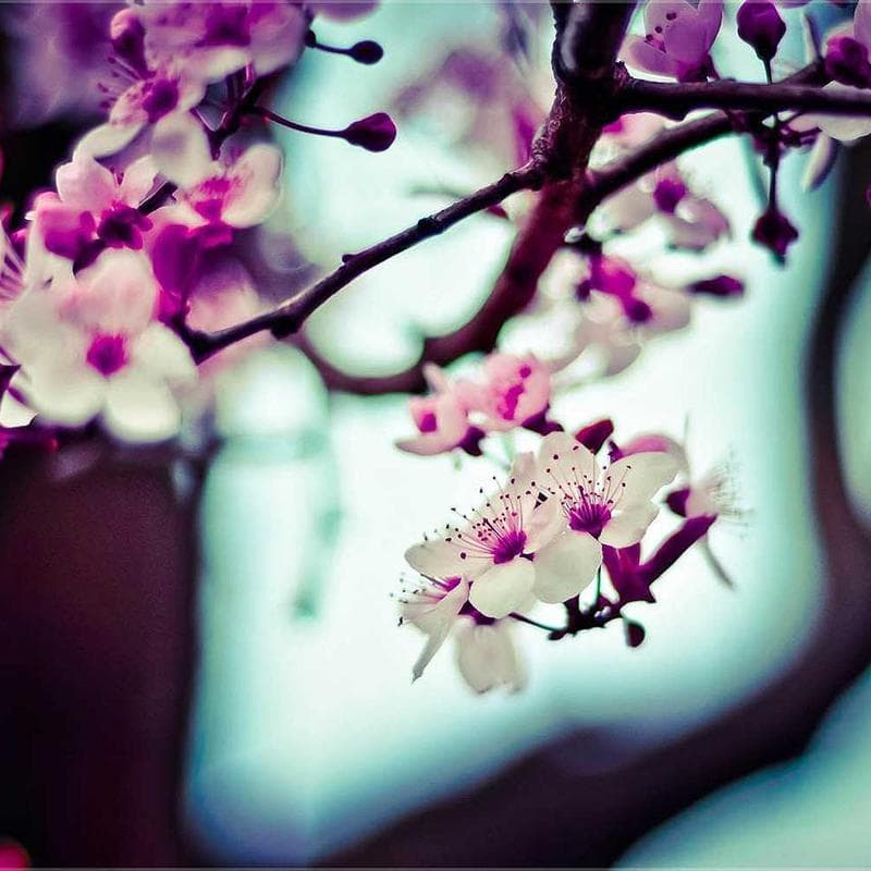 Apple MacBook Air M3 image 2