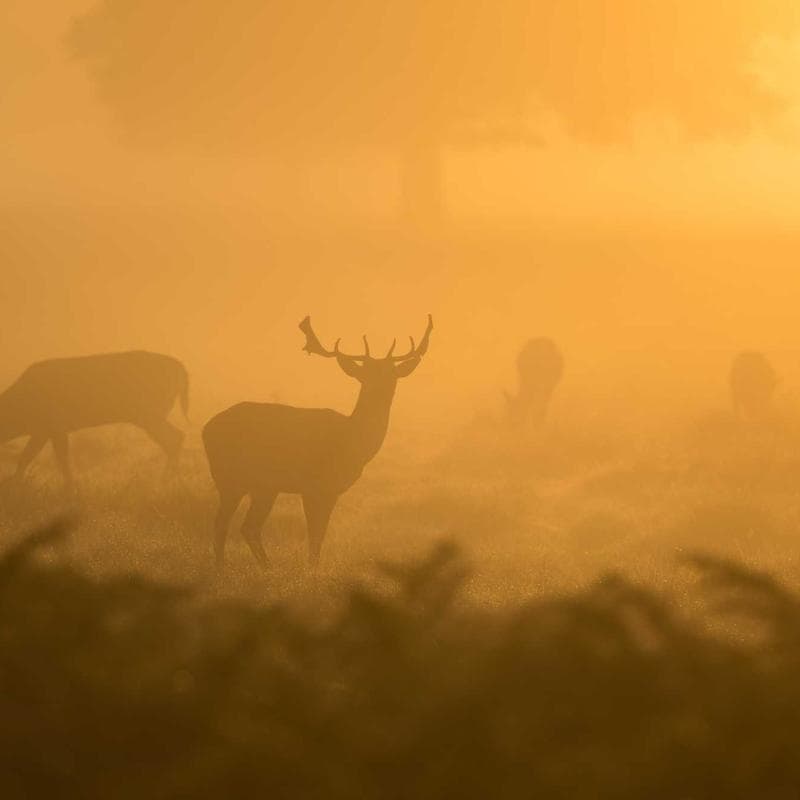 Catan Board Game (5th Edition) image 1