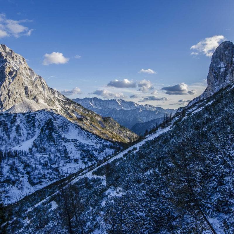 Catan Board Game (5th Edition) image 3