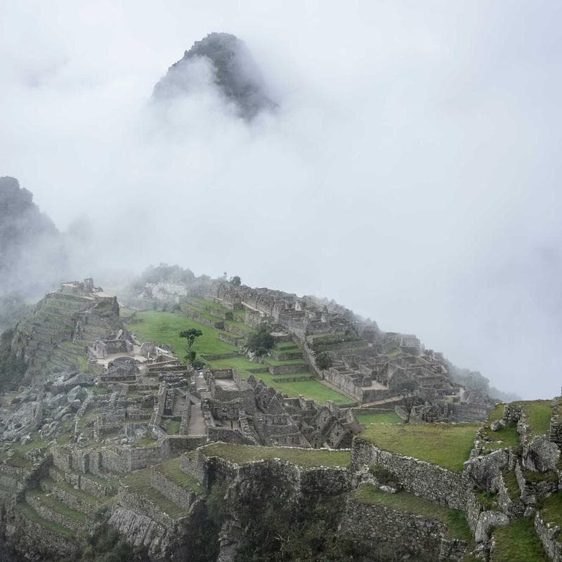 CeraVe Moisturizing Cream (19 oz) image 1