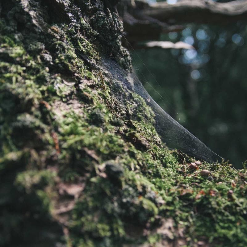 The Creative Act: A Way of Being by Rick Rubin image 3