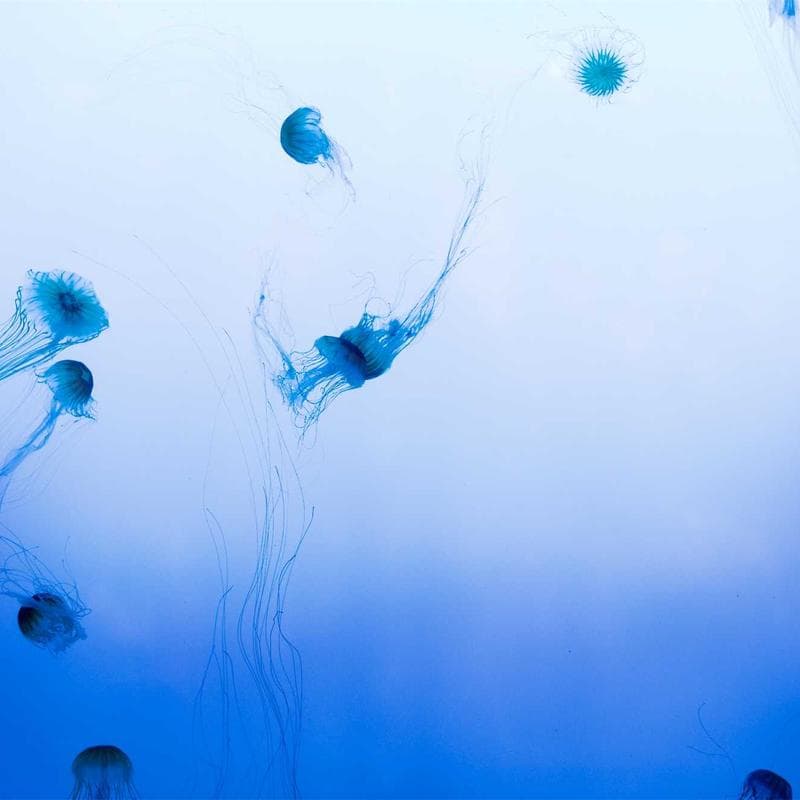 Dyson Airwrap Multi-Styler Complete image 2