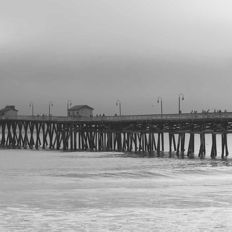 Dyson V15 Detect Cordless Vacuum image 3