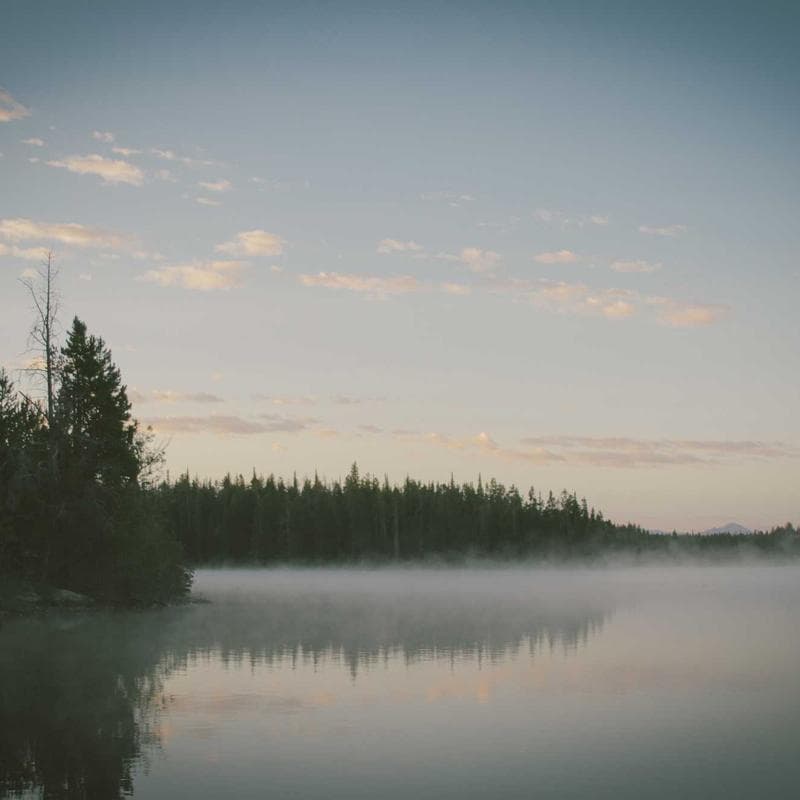 IKEA KALLAX Shelf Unit image 2