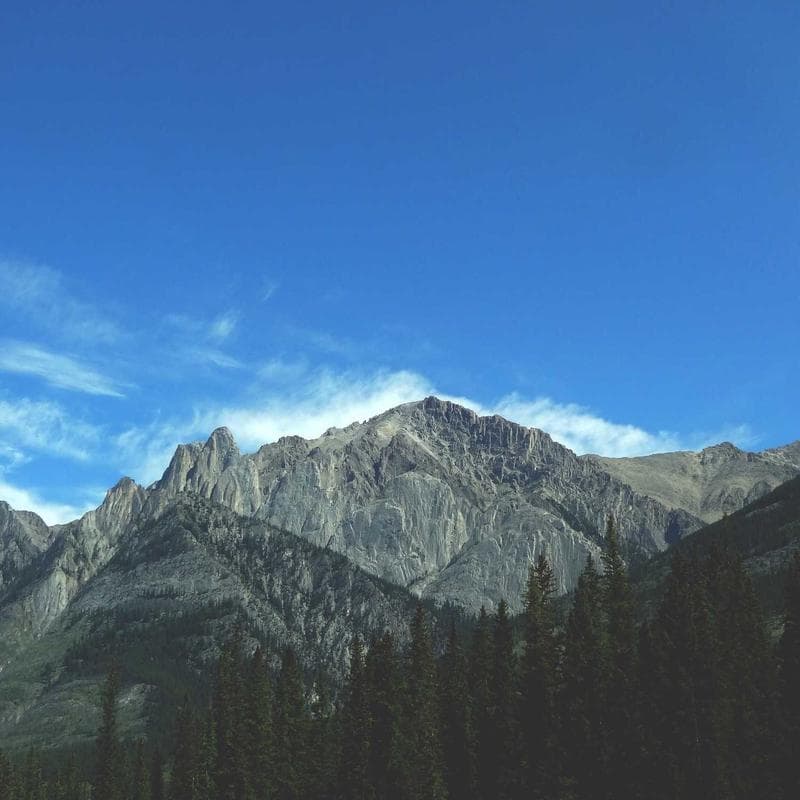 Le Creuset Signature Cast Iron Dutch Oven image 2