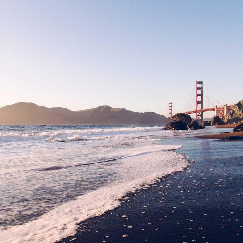 Le Creuset Signature Cast Iron Dutch Oven image 3