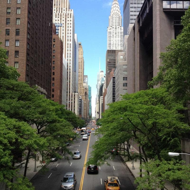 Levi's 501 Original Jeans image 2