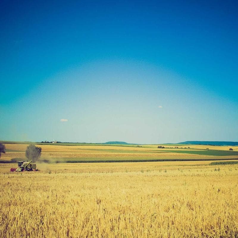 Logitech MX Master 3S Mouse image 1