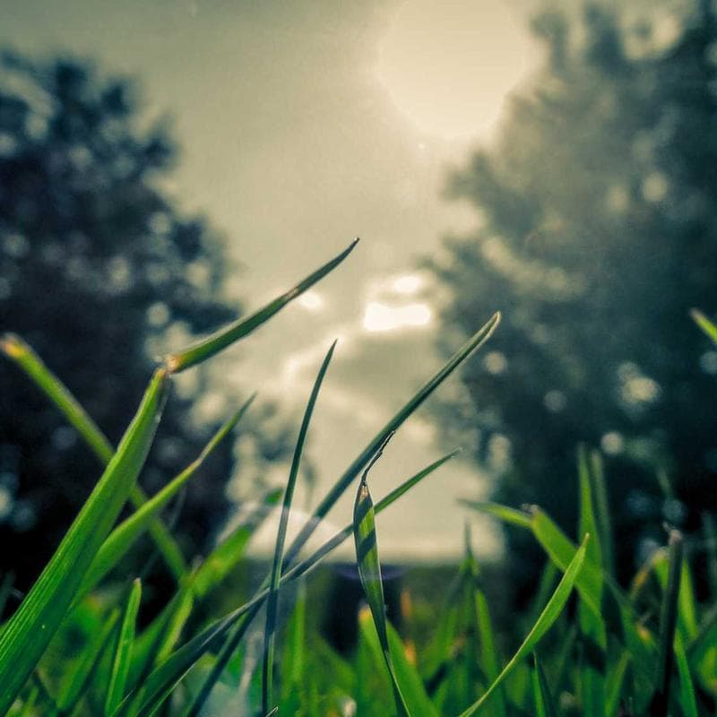 Nike Air Max 270 image 2