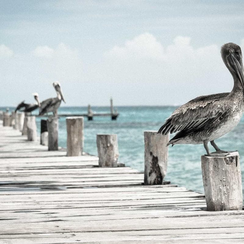 REI Co-op Trail 40 Pack Backpack image 2