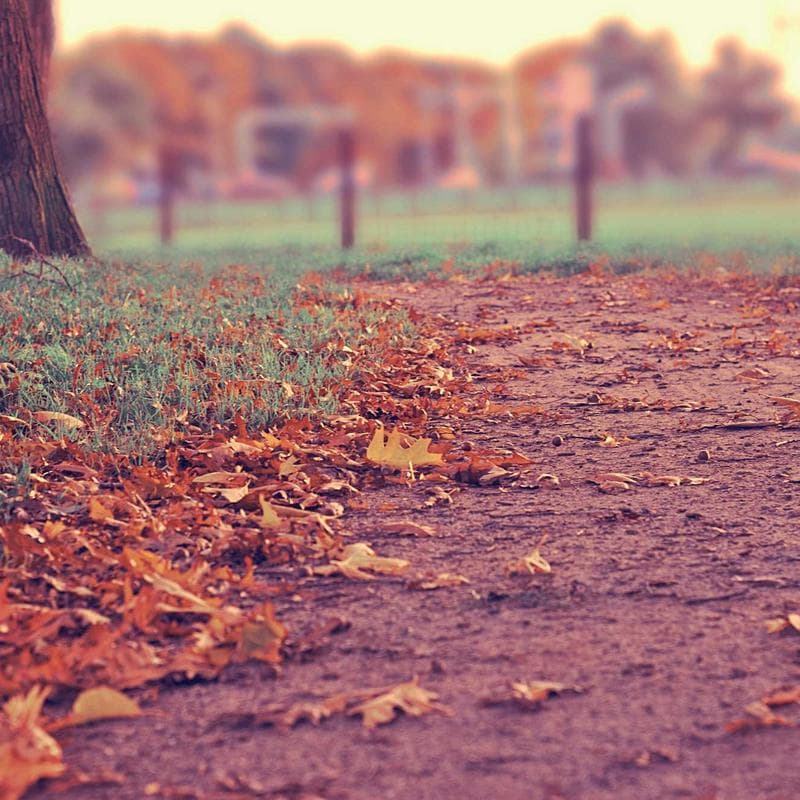 Sony WH-1000XM5 Headphones image 3