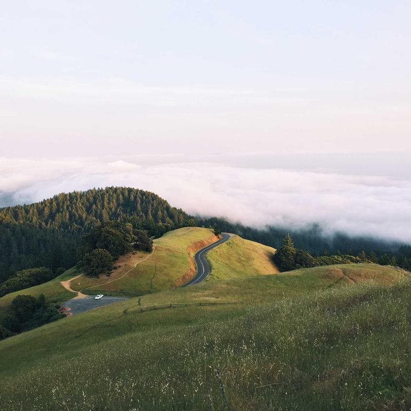 Tatcha The Water Cream (1.7 oz) image 2
