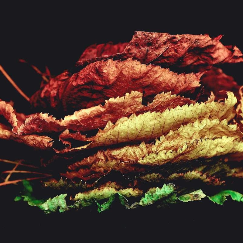 Tatcha The Water Cream (1.7 oz) image 3