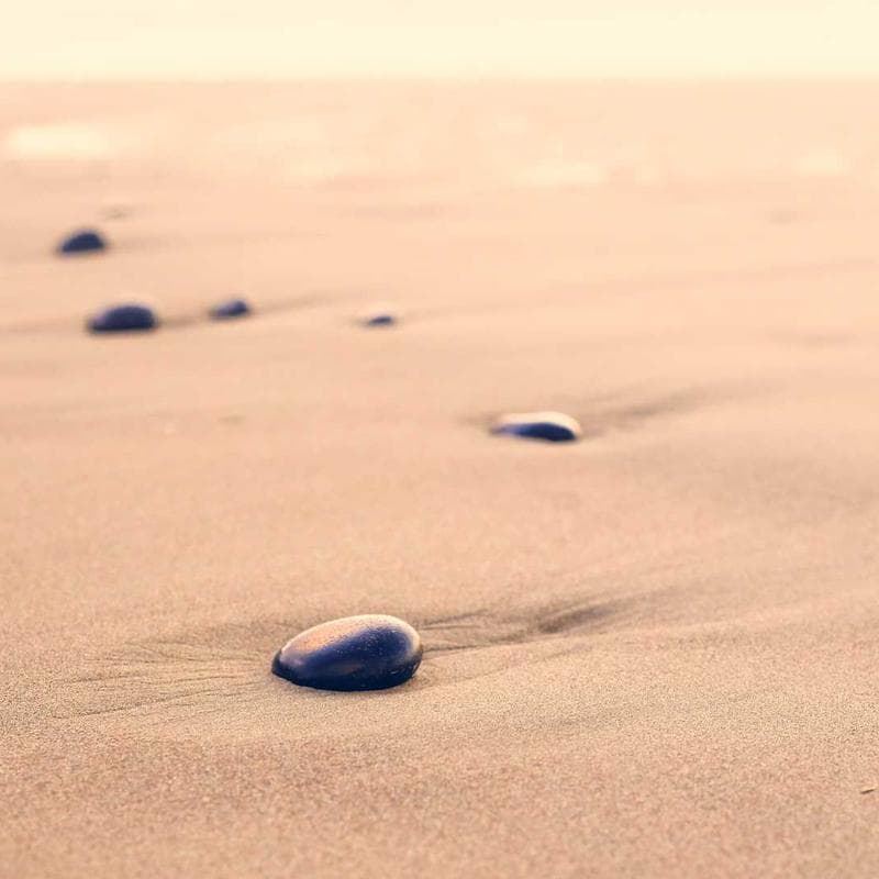 Uniqlo Ultra Light Down Jacket image 3